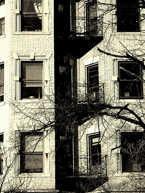 Fenway Apartments Row, Park Drive Boston