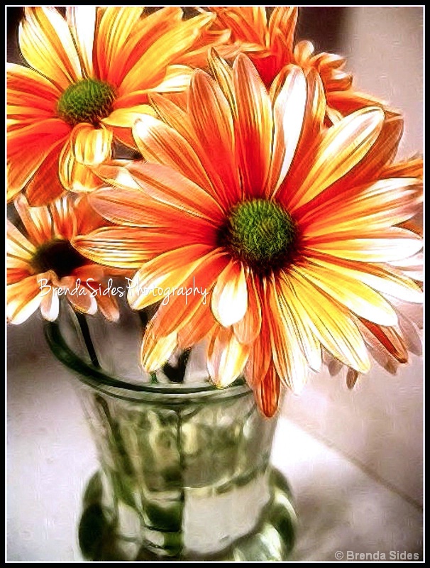 ~Vase of Daisies~