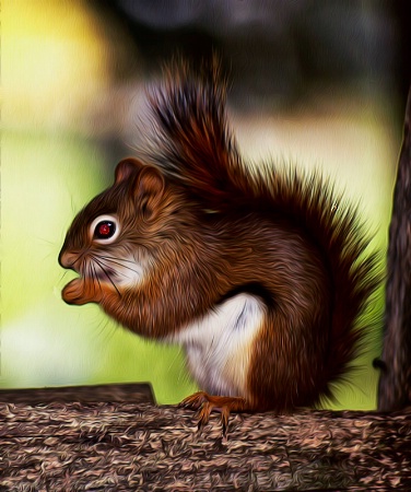Red Eyed Red Squirrel