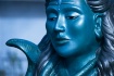 Shiva Close-up
