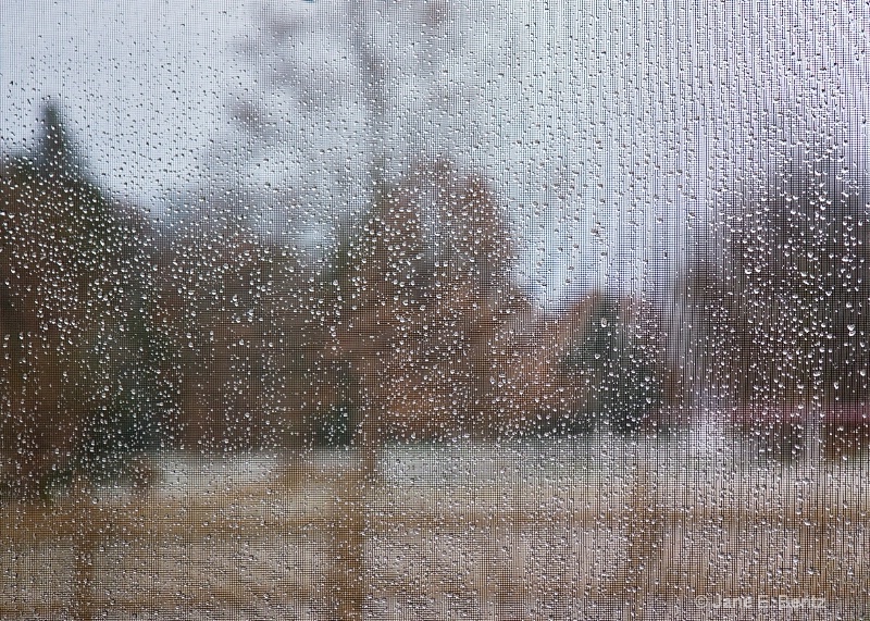 November Rain - ID: 14762455 © Jane E. Bentz