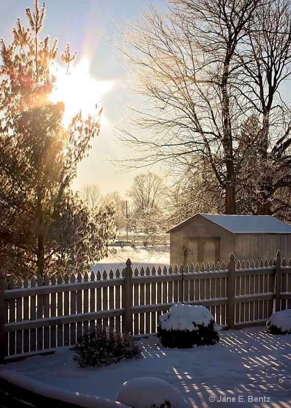 November Snow - ID: 14762466 © Jane E. Bentz