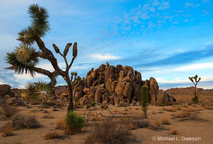 Joshua Tree Cloud Explosion