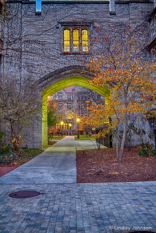 Looking Through the Arch