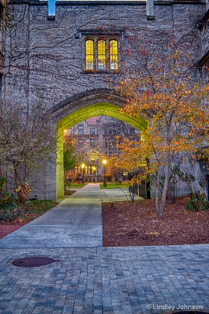 Looking Through the Arch