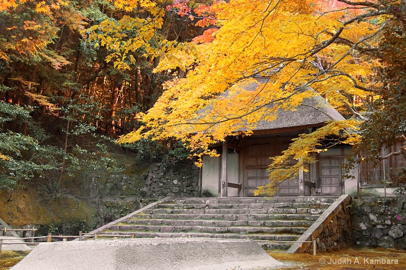 autumn colors of honen-in gate