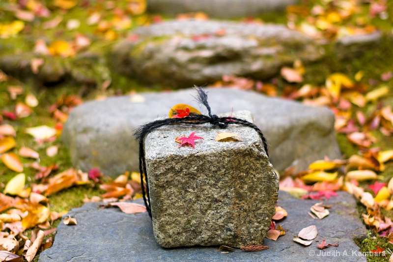 Honen-in stone in autumn