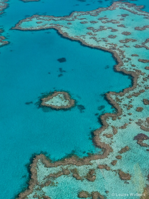 Heart Reef Great Barrier Reef - ID: 14764799 © Louise Wolbers