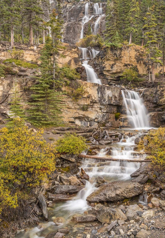 Tangle Falls 