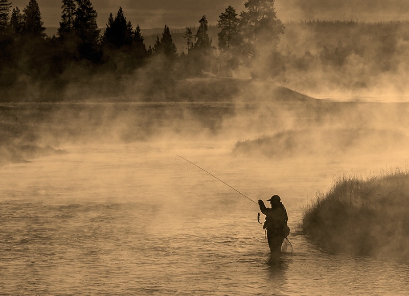 Fishing in the Mists
