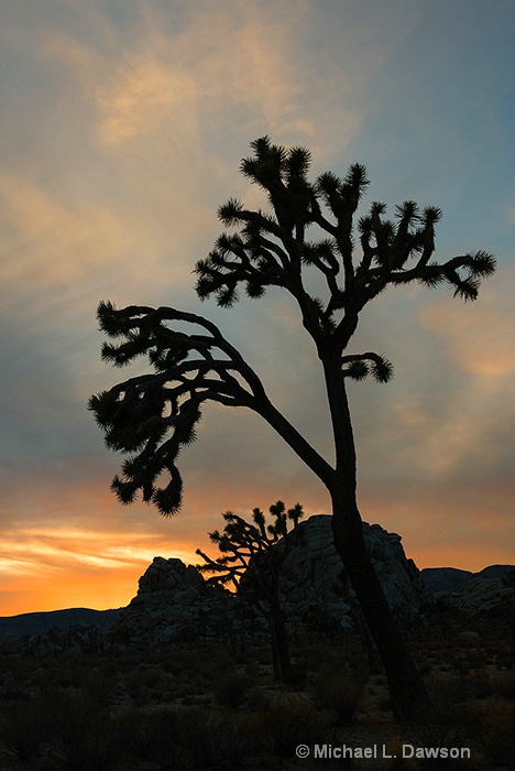 Reaching for the Heavens