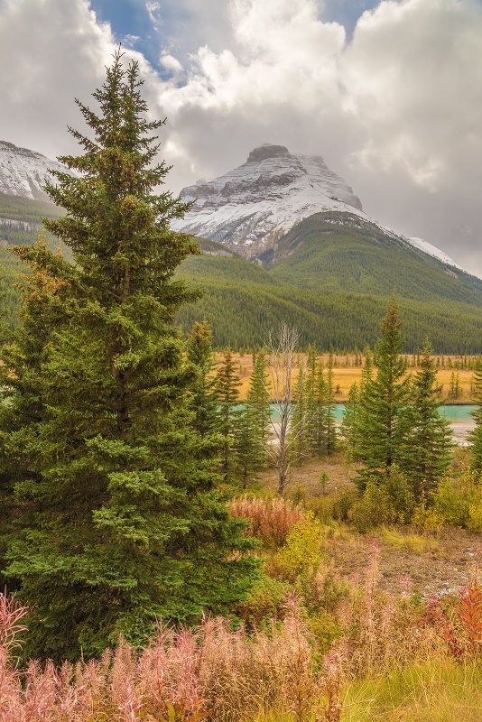 Canadian Rockies