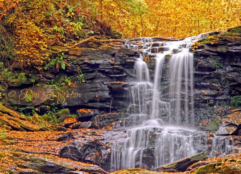 Autumn Falls at Ricketts Glen