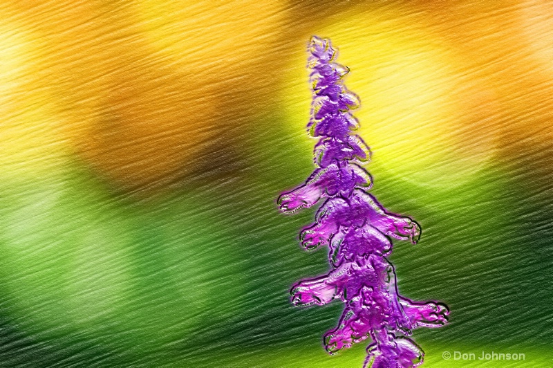 Purple Flower with Bokeh-Fract 038