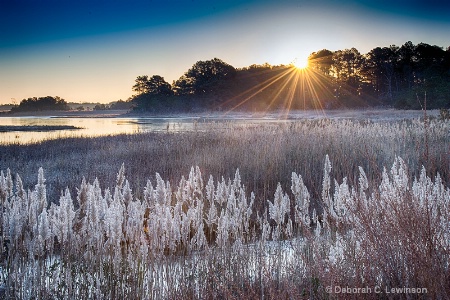 Sunrise at Chincoteague