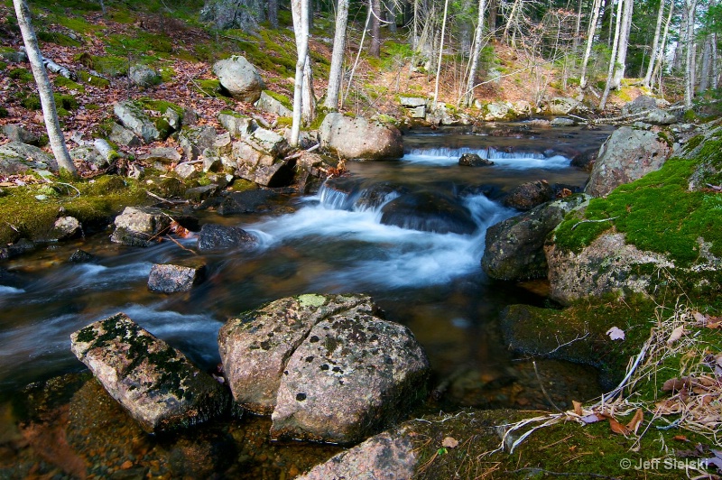 Quiet & Peaceful! Acadia National Park, Maine
