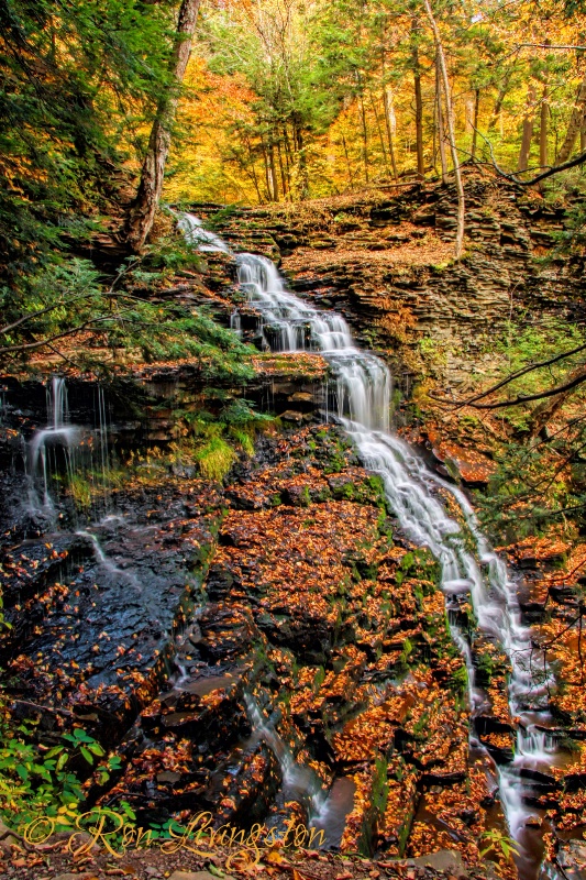 Fall at Ricketts Glen