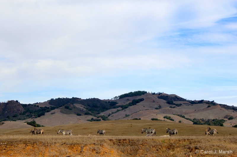 Home on the range at Hearst Castle