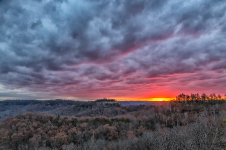 Thanksgiving Sunrise