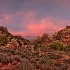 © Elliot Barnathan PhotoID# 14770858: Zion 70