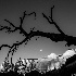 © Elliot Barnathan PhotoID# 14770874: Zion BW 45