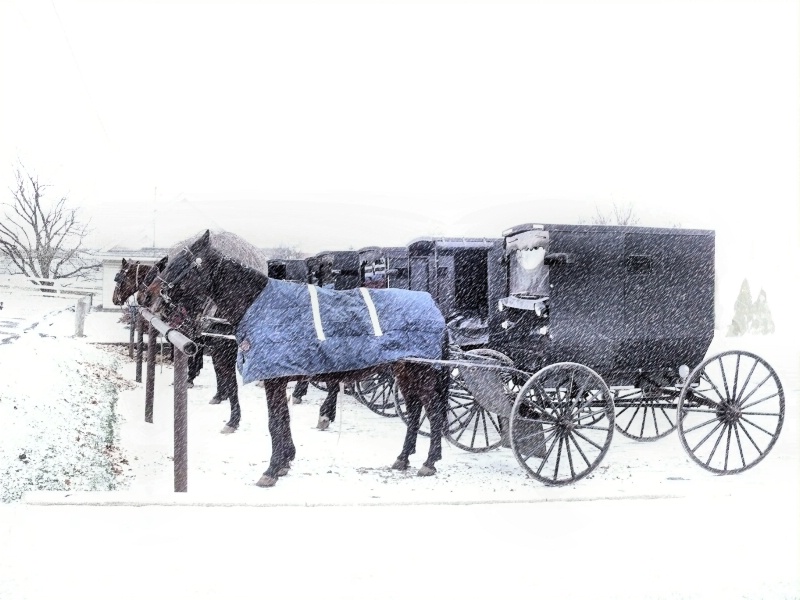 Amish Parking