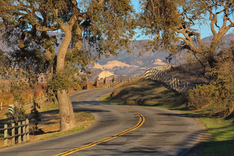 Happy Canyon Road (Compression, Half way back)