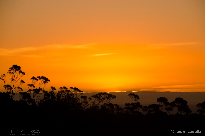 Chilean Sunset