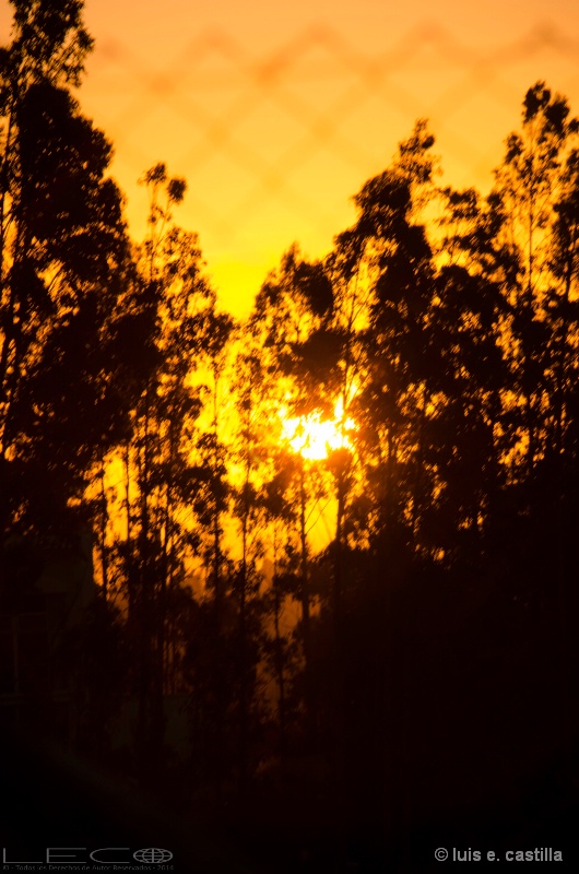 Chilean Sunset