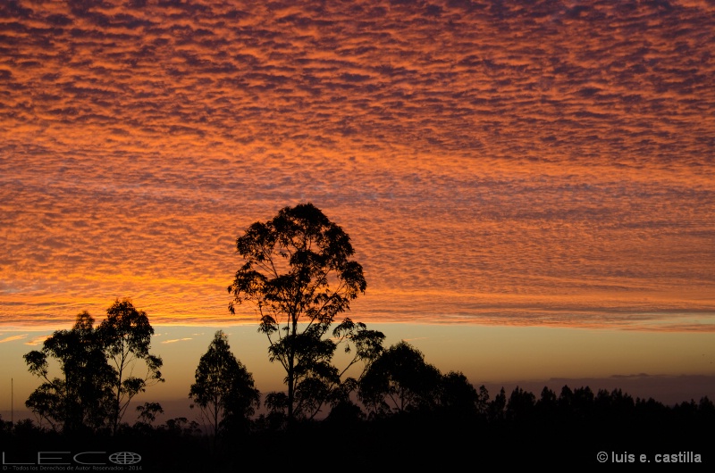 Chilean Sunset from my Terraza