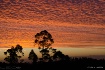 Chilean Sunset fr...