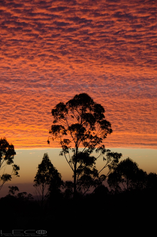 Chilean Sunset from my Terraza