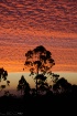 Chilean Sunset fr...