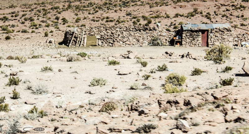 House in the desert