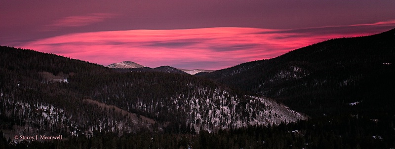 Pink Blanket