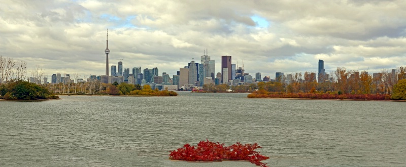 Toronto Panorama