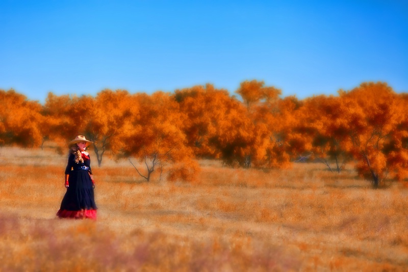 A Country Stroll - ID: 14776726 © Jeff Robinson