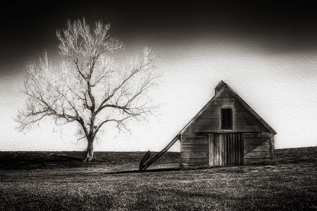 A Tree and a Barn