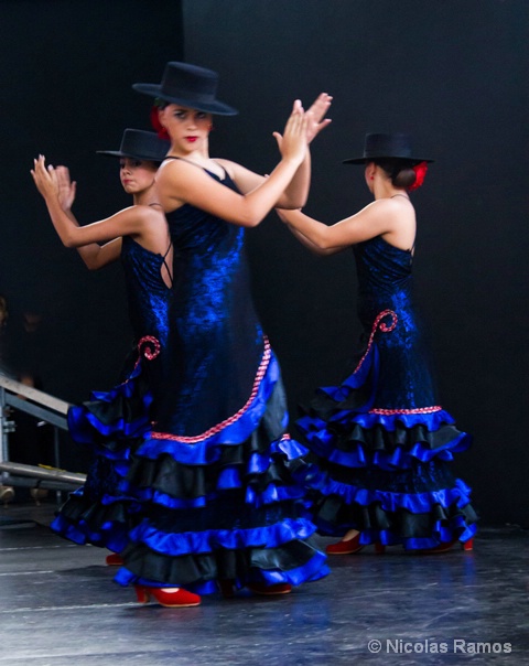 Flamencos Dos