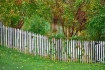 Pastel Fence