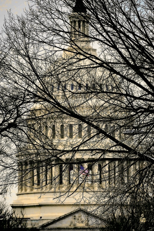 U.S. Capitol in Winter