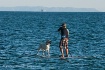A man and his dog