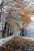 winter and autumn...