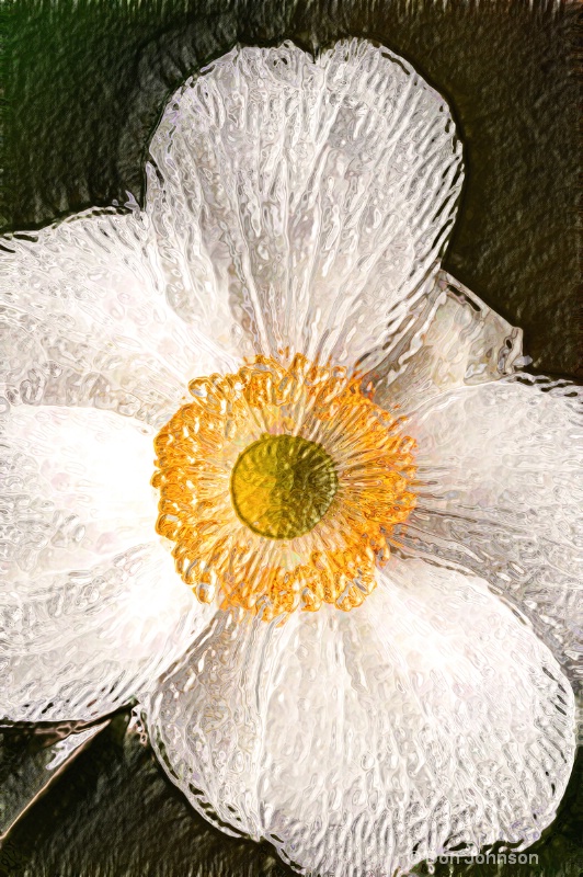 Artistic Meadowlark Flower 139