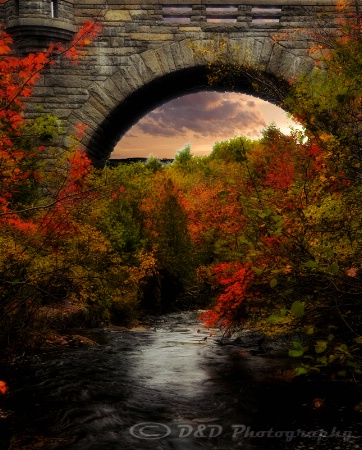 Fall in Acadia National Park,ME