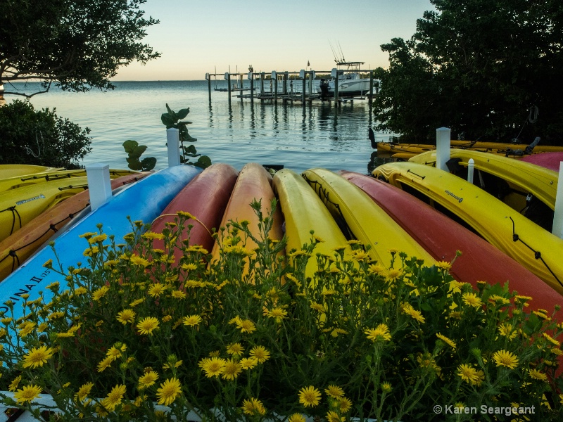 Kayak Flowers