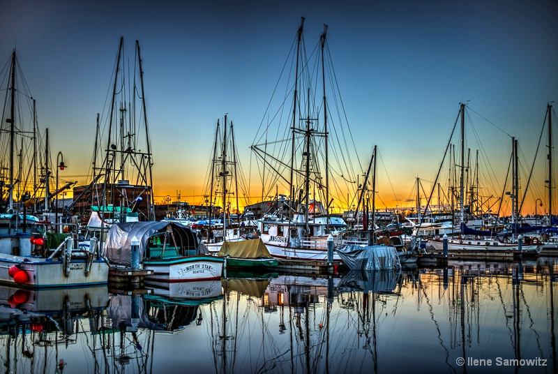 Marina at Fisherman's Terminal