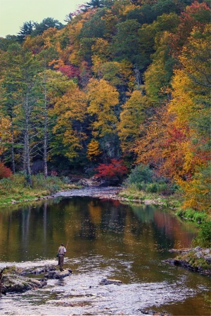 Trout Fishing