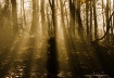 God Rays