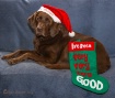 Dear Santa